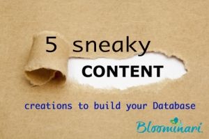 5 Sneaky Content Creations to Build Your Database