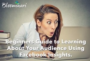 Beginners Guide to Learning About Your Audience Using Facebook Insights