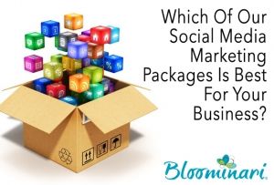 Which Of Our Social Media Marketing Packages Is Best For Your Business?